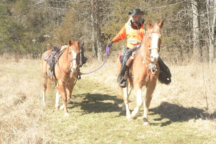 Devil’s Den Horse Camp Picture 1
