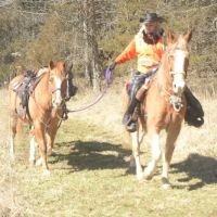 Devil’s Den Horse Camp ico