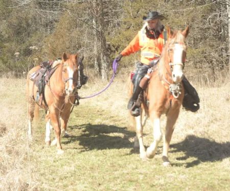 Devil’s Den Horse Camp