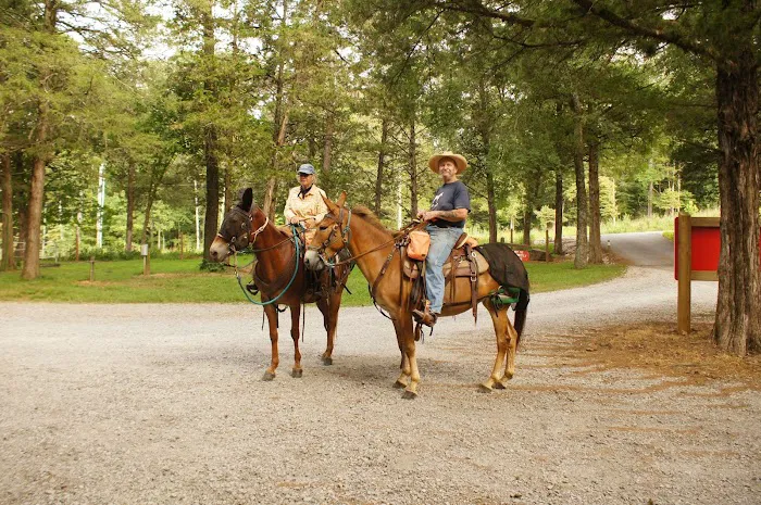 Devil’s Den Horse Camp Picture 3