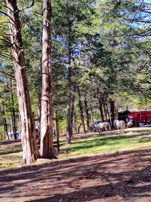 Devil’s Den Horse Camp Picture 9