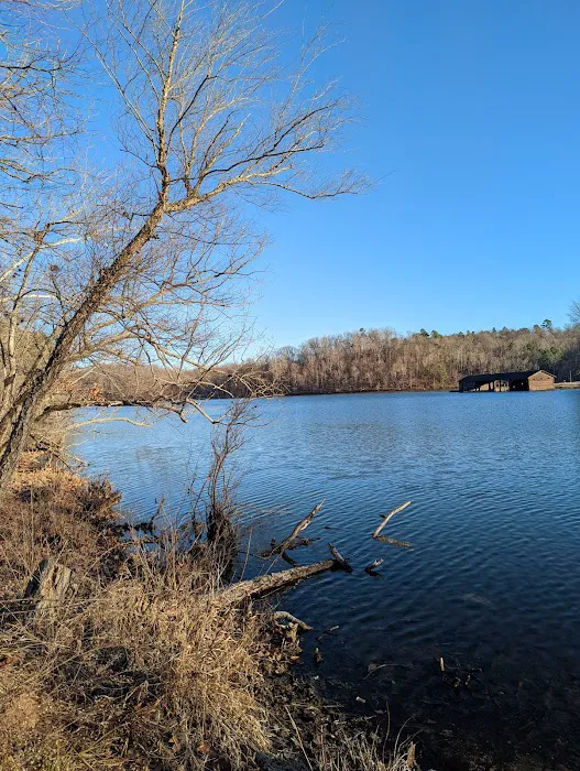 Lake Wedington Campground Picture 7