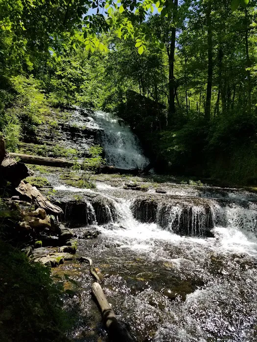 Lake Wedington Campground Picture 6