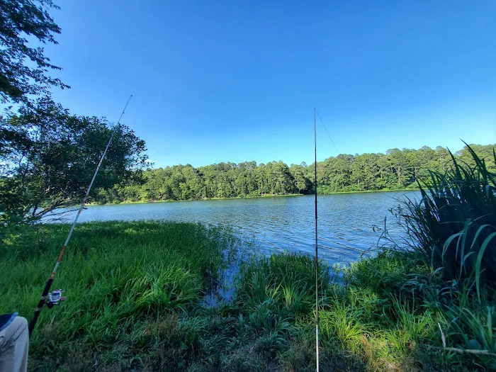 Lake Wedington Campground Picture 5