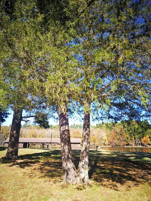 Lake Wedington Campground Picture 2