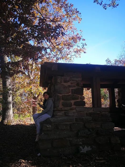 Lake Wedington Campground Picture 5