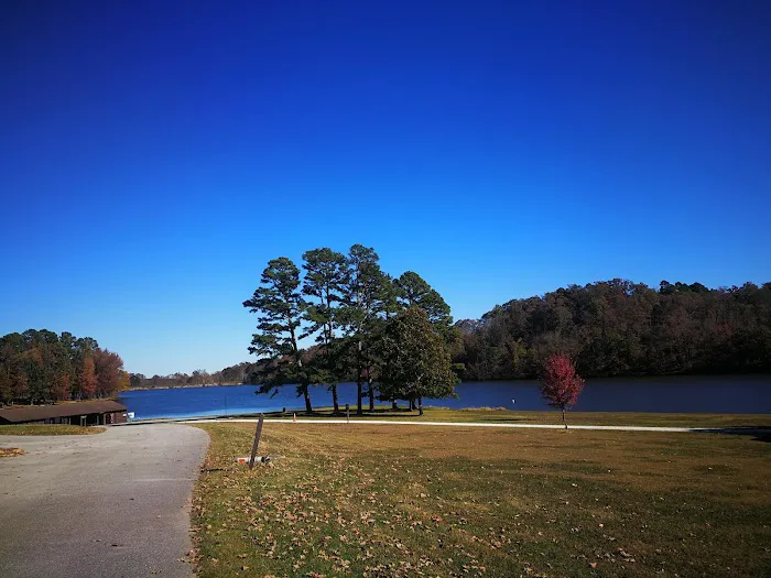 Lake Wedington Campground Picture 9
