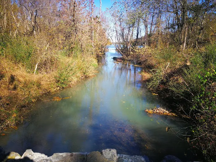 Lake Wedington Campground Picture 6
