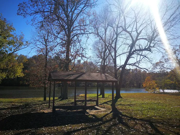 Lake Wedington Campground Picture 7