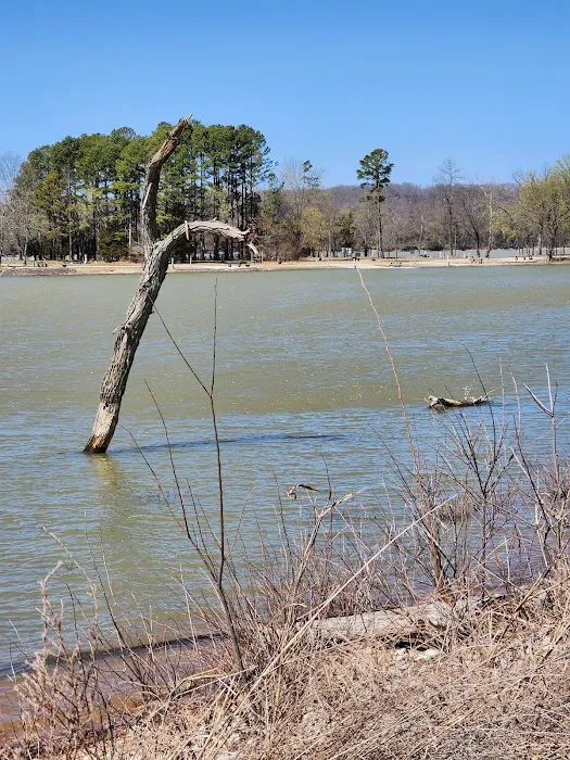 Horseshoe Bend Campground Picture 7