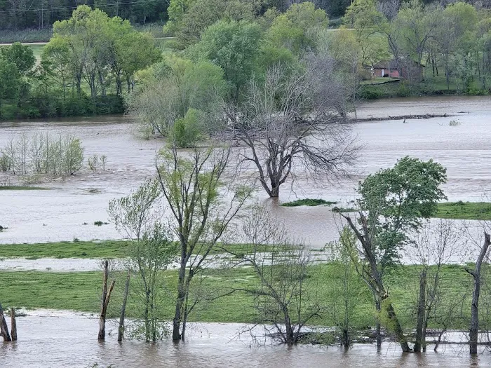 River Ranch Picture 3