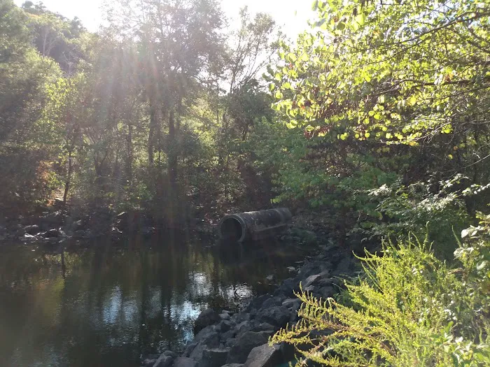 Little Pines Recreation Area Picture 5