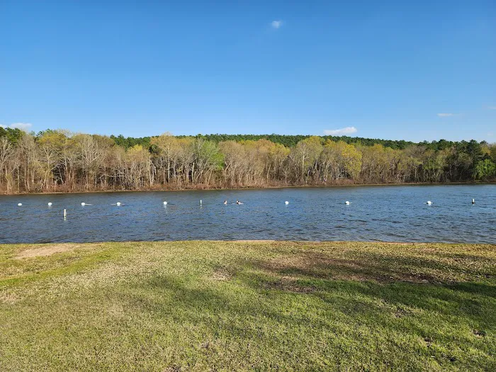 Little Pines Recreation Area Picture 8