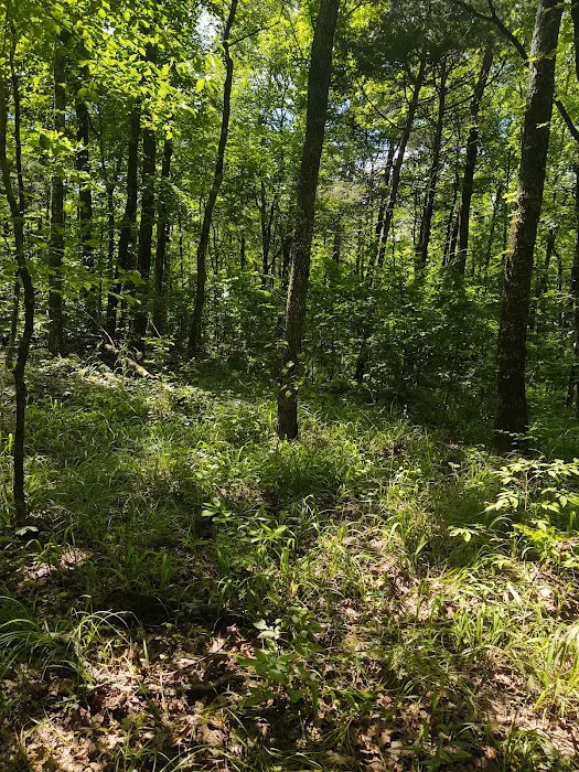Fourche Mountain Adventures Picture 7