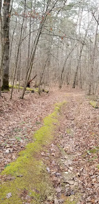 Shirley Creek Recreation Site Picture 5