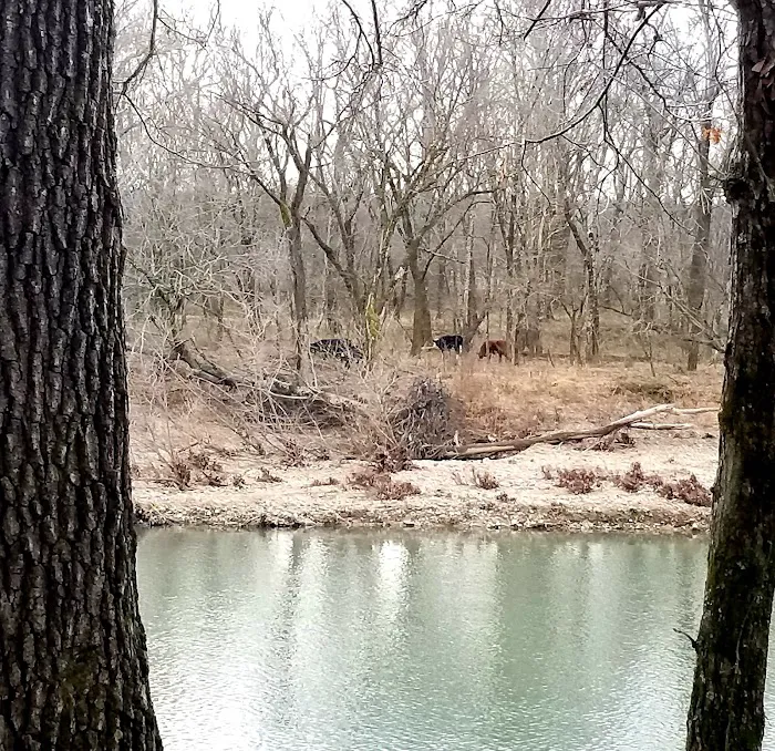 Shirley Creek Recreation Site Picture 3