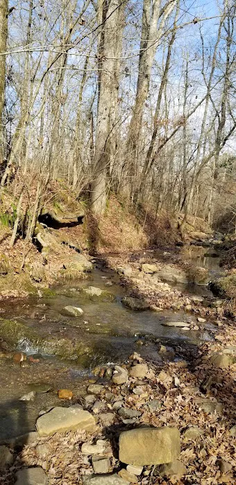 Shirley Creek Recreation Site Picture 4