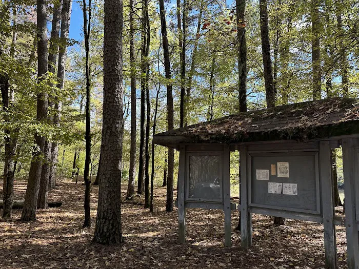 Shirley Creek Recreation Site Picture 8