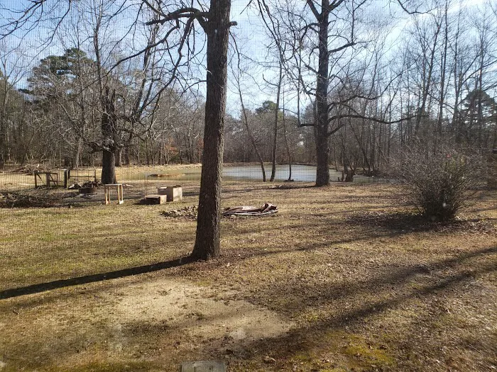 4 Seasons R V Park Picture 3