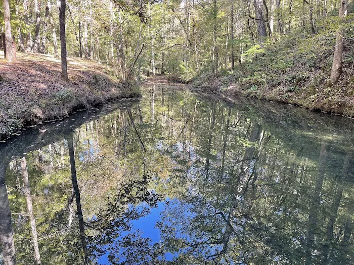 Crystal Recreation Area Picture 6