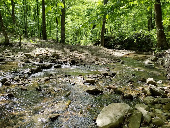Crystal Recreation Area Picture 2