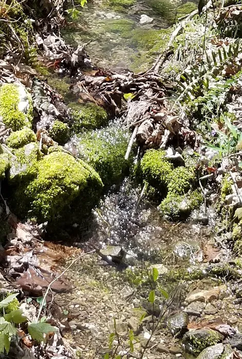 Crystal Recreation Area Picture 5