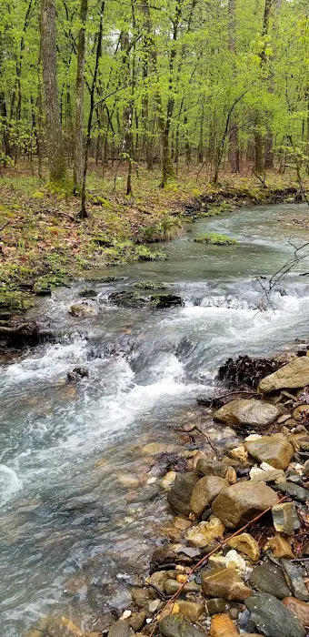 Crystal Recreation Area Picture 3