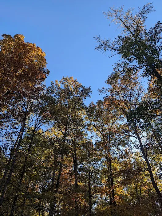 Crystal Recreation Area Picture 1