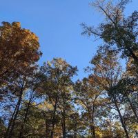 Crystal Recreation Area ico