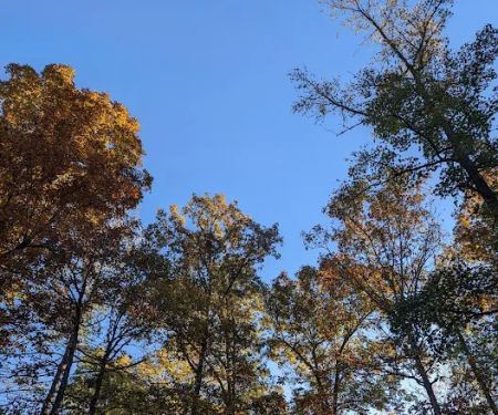 Crystal Recreation Area