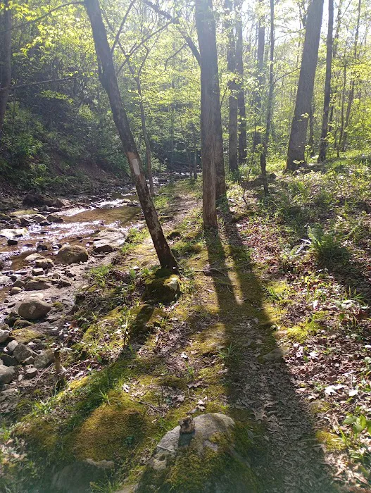 Crystal Recreation Area Picture 7