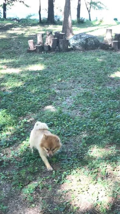 Caddo River Crossing Picture 8