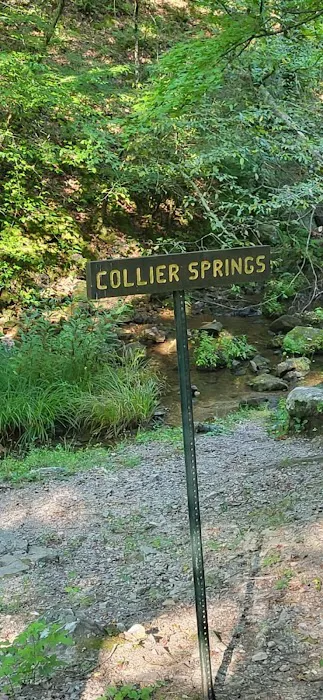 Caddo River Crossing Picture 5