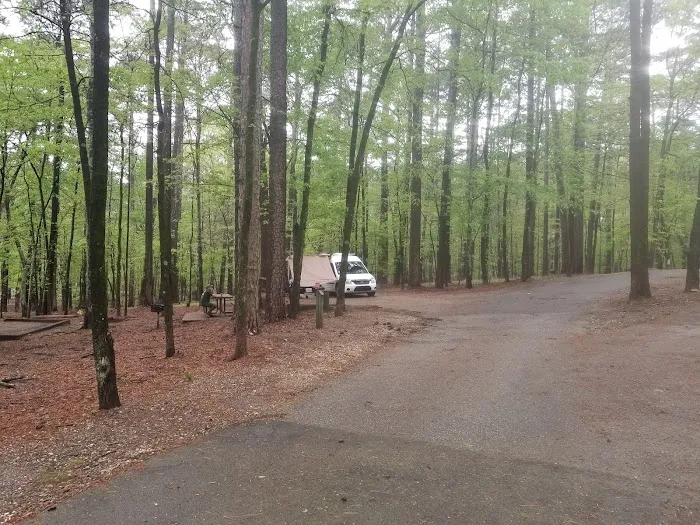 DeGray Lake State Park Campgrounds Picture 8