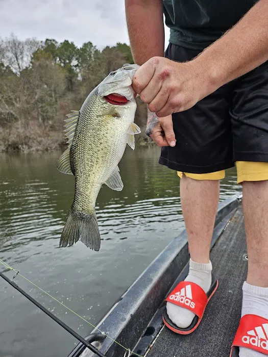 DeRoche Ridge Campground at Degray Lake State Park Picture 9
