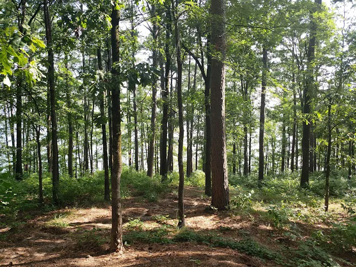 Iron Mountain COE Picture 7