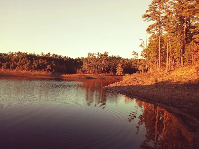 Iron Mountain COE Picture 3