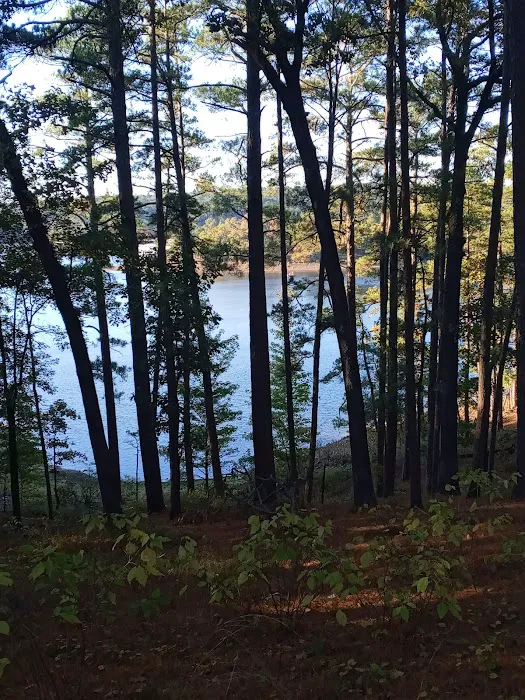 Iron Mountain COE Picture 9