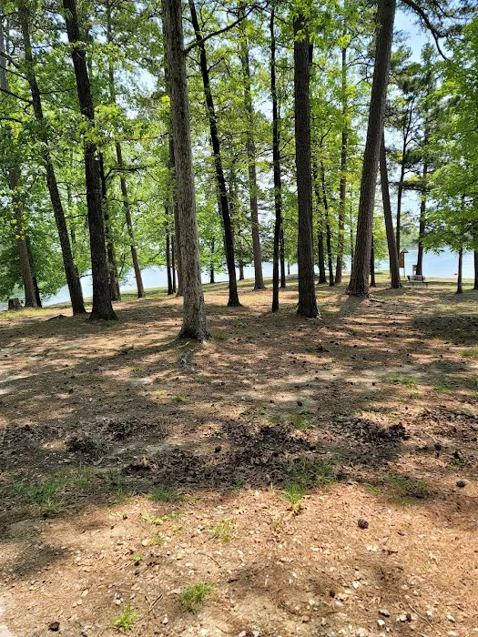Edgewood Campground Picture 9