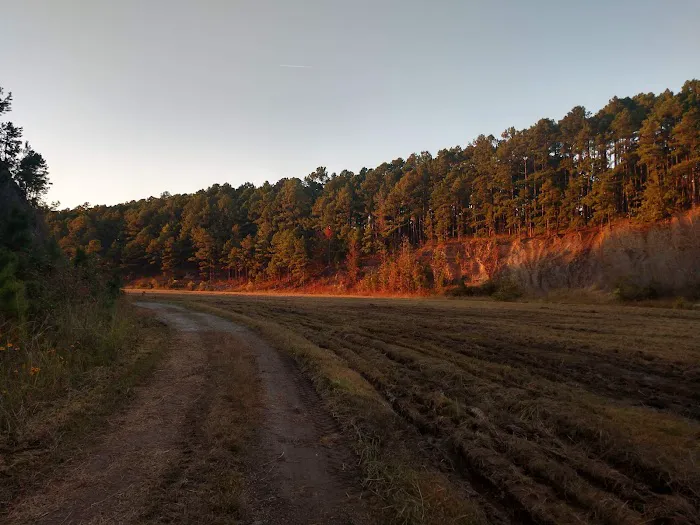 Iron Mountain Campground Picture 7
