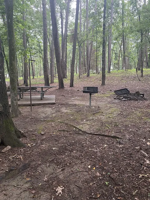 Campsite #81 Picture 7