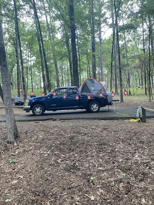 Campsite #81 Picture 5