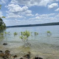 Campsite #81 ico
