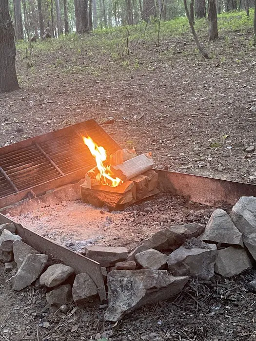 Campsite #81 Picture 8