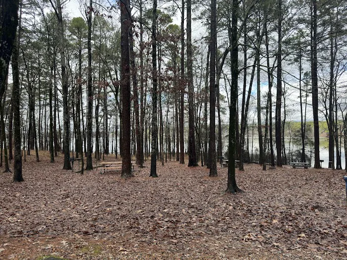 Caddo Drive Campground Picture 2
