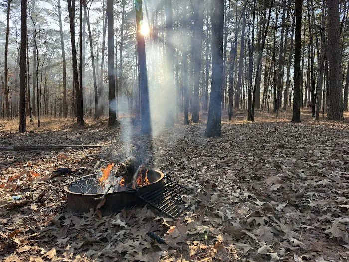Caddo Drive Campground Picture 3