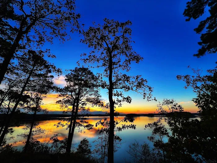Caddo Drive Campground Picture 8