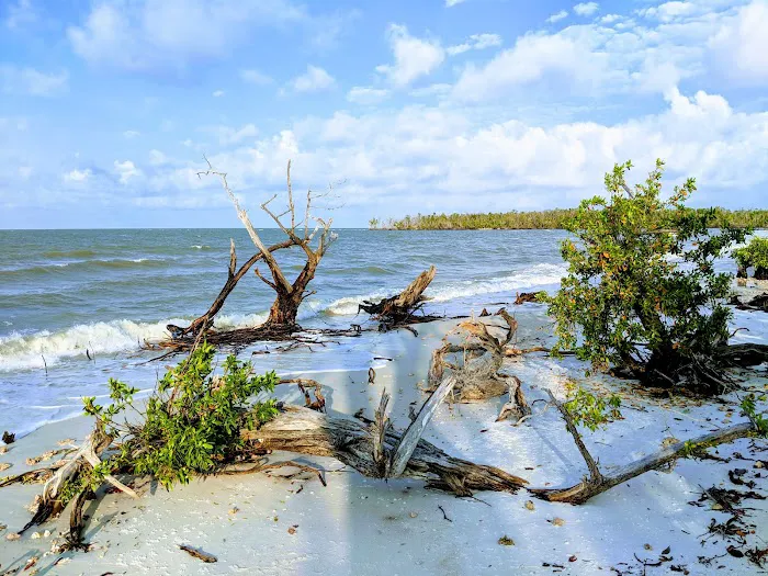 Picnic Key Campsite Picture 5