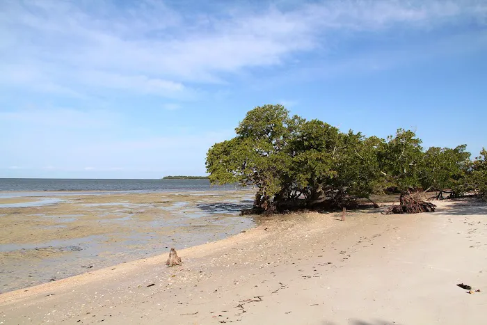 Tiger Key Campsite Picture 3