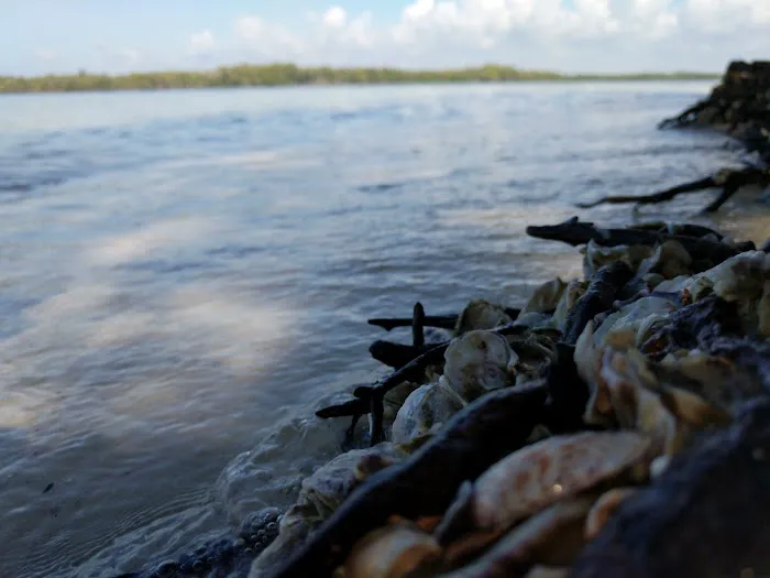 Tiger Key Campsite Picture 7